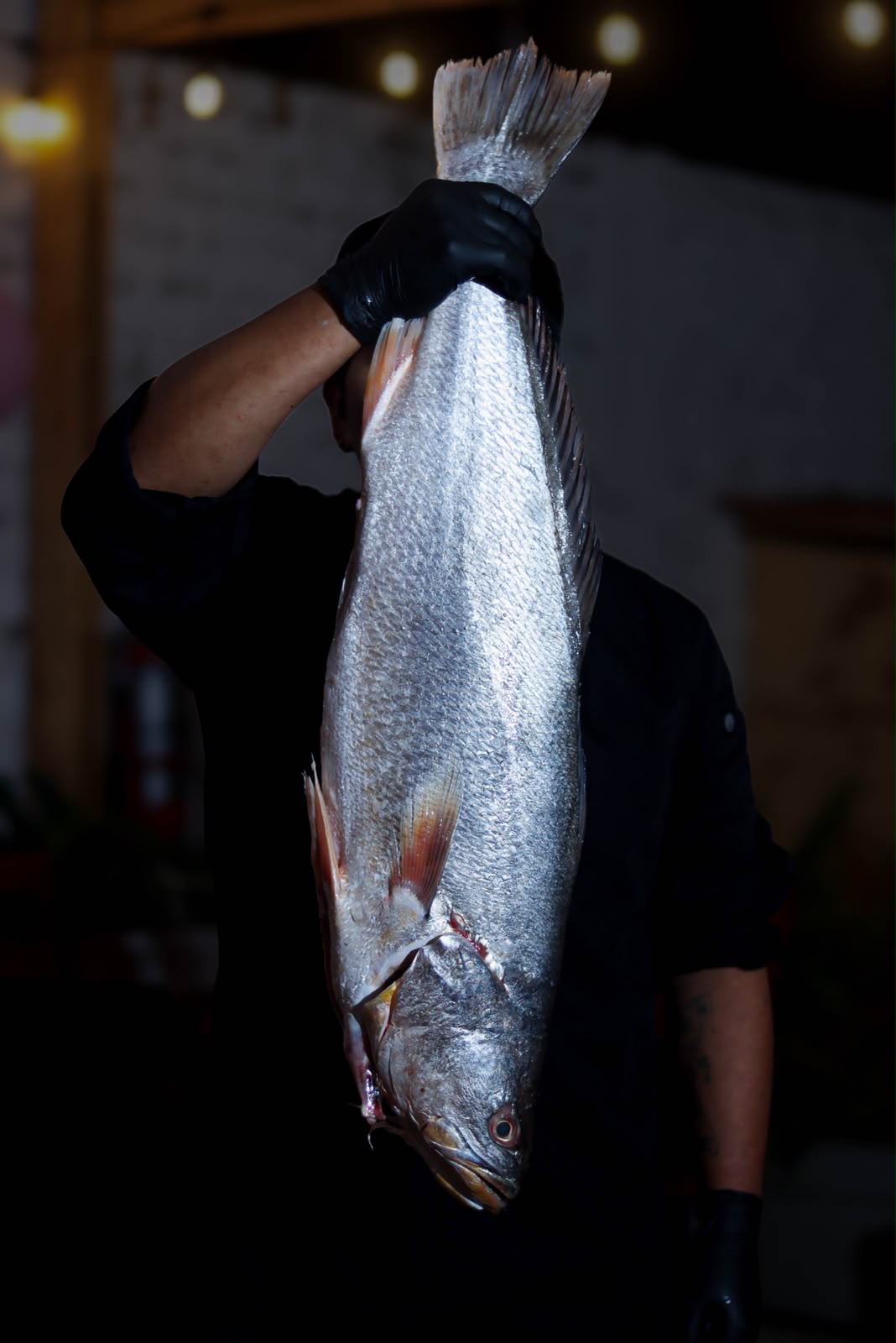 Chef PalMar - Pesca Artesanal Fresca del Día